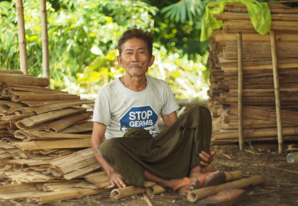 The Hidden Tigers of Southeast Asia